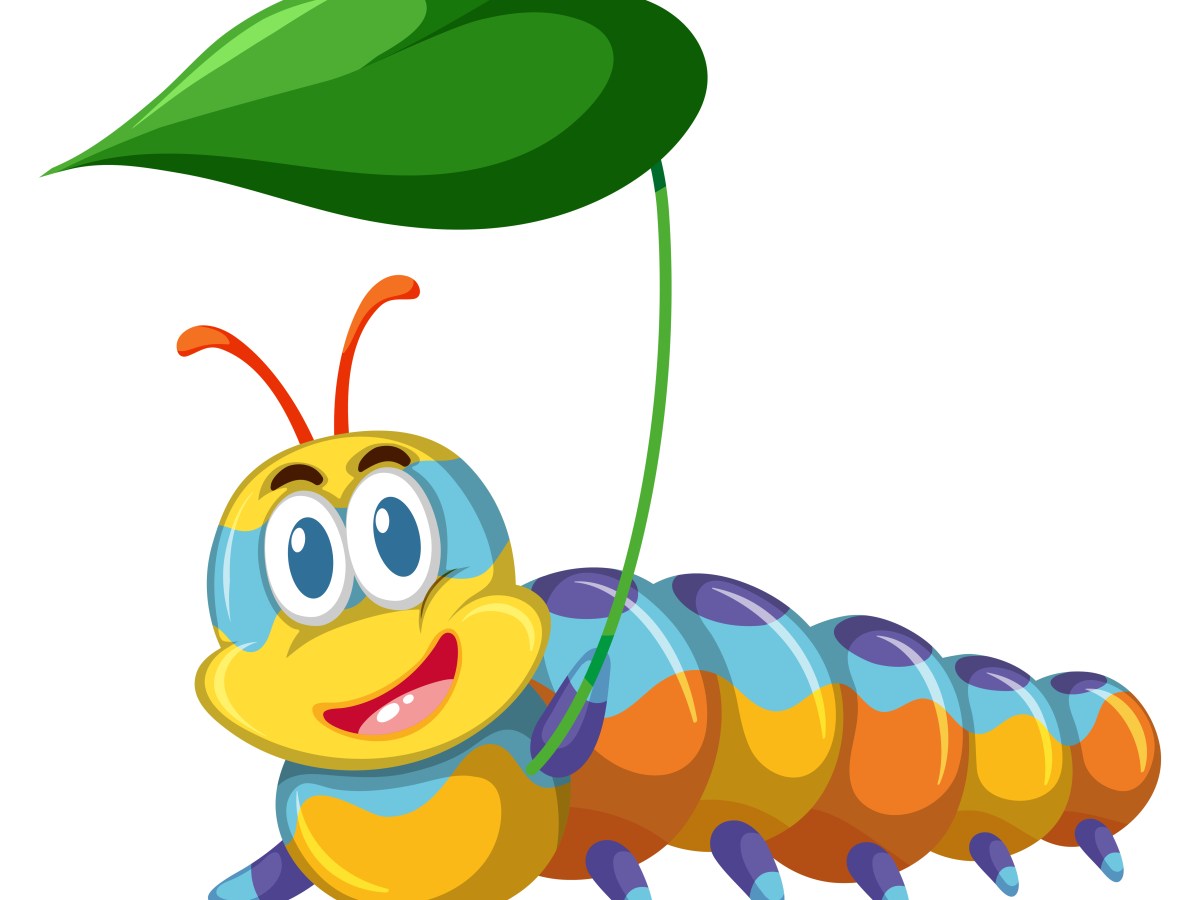 Atelier jeu babyhand:&nbsp;Insectes
