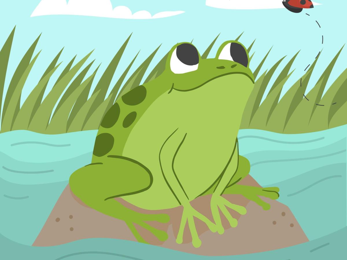 Atelier jeu babyhand: La&nbsp;grenouille